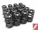 GSC Power Division P-D Subaru EJ Series Conical Valve Spring and Titanium Retainer Kit
