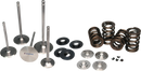 Ferrea 90-00 BMW E36 Dual Spring Kit