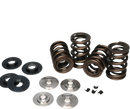 Ferrea Toyota Supra 3.0L B58 Turbo Spring Kit