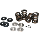 Ferrea Mitsubishi Evo X 4B11T Dual Spring Kit