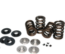 Ferrea Honda H22 Pac Enhanced Dual Spring Kit