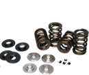 Ferrea 10-16 Ford Ecoboost 3.5L Spring Kit