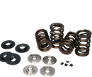 Ferrea Honda S2000 Dual Spring Kit