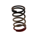 Turbosmart Gen-V WG40/45 HP 40 PSI Spring Upgrade – Black/Red for Automotive Performance Enhancement