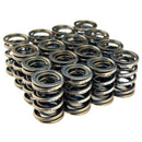Blox Racing Valve Springs for B18A-B / B20 (1.8L-2.0L DOHC) - BXPT-10302