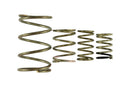 Turbosmart Gen V WG38/40 Spring Replacement Kit - Part Number TS-0550-3150