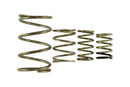 Turbosmart Gen V WG38/40 Spring Replacement Kit - Part Number TS-0550-3150
