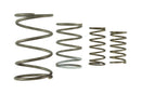 Turbosmart Gen V WG60 Spring Replacement Kit - Part Number TS-0550-3152