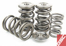 GSC Power Division P-D Subaru FA20 WRX/BRZ/FRS Dual Cylindrical Valve Spring Kit