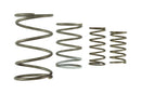 Turbosmart Gen V WG60 Spring Replacement Kit - Part Number TS-0550-3152