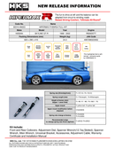 HKS Hipermax R BNR34 Full Kit