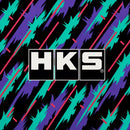HKS RB26 Vcam SYSTEM step Pro (w/ Valcon RB) - 22007-AN019
