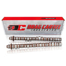Drag Cartel OG Camshafts - Stage 3.2 STREET K-Series K20A2, K24A2 - DC-OG-003.2
