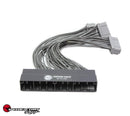 SpeedFactory Racing OBD2B to OBD1 ECU Conversion Harness - SF-01-042