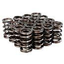 Skunk2 Pro XP Valve Spring Set - Honda B Series VTEC - 311-05-7350