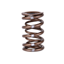 Skunk2 Pro XP Valve Spring Set - Honda B Series VTEC - 311-05-7350