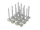 Skunk2 Alpha Series 33mm/28mm Standard Compression Valve Set - Honda B-Series VTEC - 310-05-1310