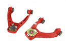 Skunk2 Pro Series Plus Front Camber Kit - 1996-2000 Honda Civic  - 516-05-5685