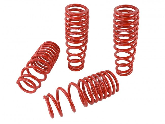 Skunk2 Lowering Springs - 1992-1995 Honda Civic - 519-05-1480