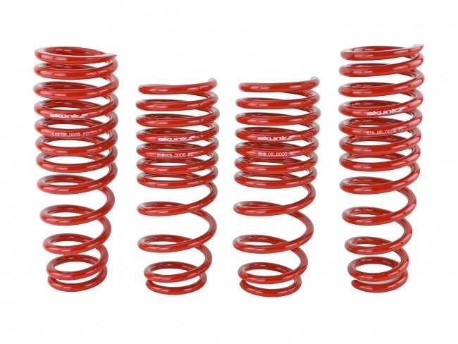 Skunk2 Lowering Springs - 1992-1995 Honda Civic - 519-05-1480