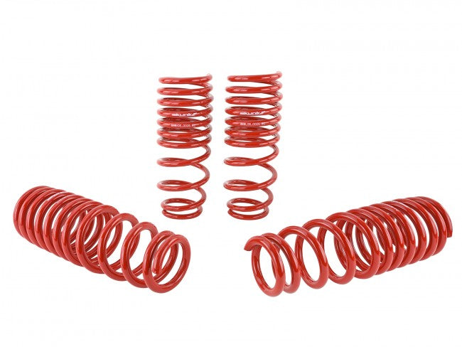 Skunk2 Lowering Springs - 1992-1995 Honda Civic - 519-05-1480