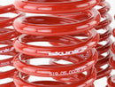 Skunk2 Lowering Springs - 1992-1995 Honda Civic - 519-05-1480