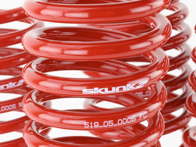 Skunk2 Lowering Springs - 1992-1995 Honda Civic - 519-05-1480