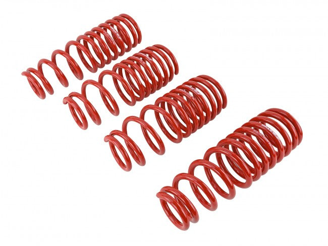 Skunk2 Lowering Springs - 1996-2000 Honda Civic  - 519-05-1550