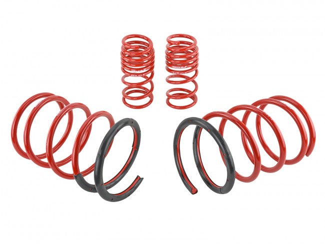 Skunk2 Lowering Springs - 2001-2005 Honda Civic  - 519-05-1570