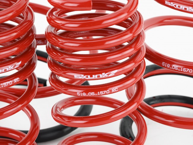 Skunk2 Lowering Springs - 2001-2005 Honda Civic  - 519-05-1570