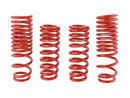 Skunk2 Lowering Springs - 1990-1993 Acura Integra  - 519-05-1640