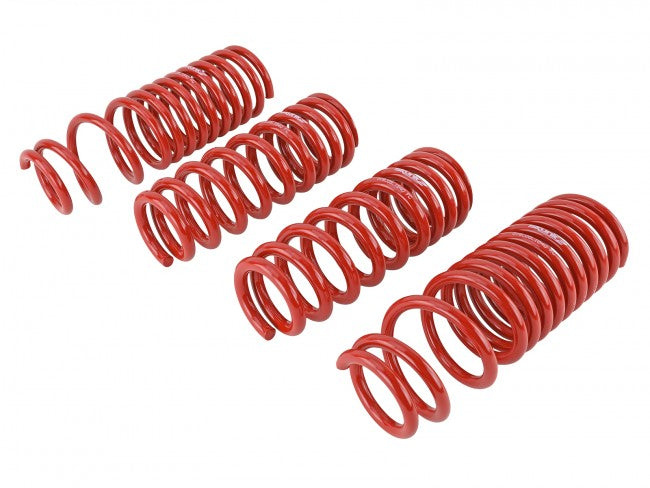 Skunk2 Lowering Springs - 1990-1993 Acura Integra  - 519-05-1640