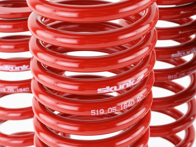 Skunk2 Lowering Springs - 1990-1993 Acura Integra  - 519-05-1640