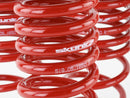Skunk2 Lowering Springs - 1988-1991 Honda Civic / CRX - 519-05-1650