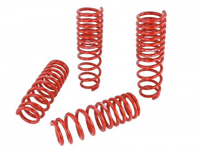 Skunk2 Lowering Springs - 1992-2001 Honda Prelude - 519-05-1660