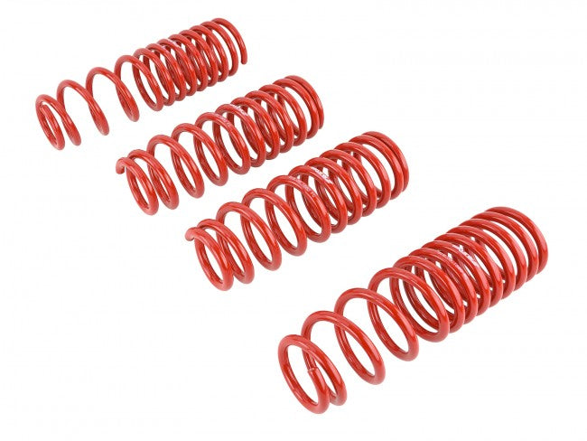 Skunk2 Lowering Springs - 1992-2001 Honda Prelude - 519-05-1660