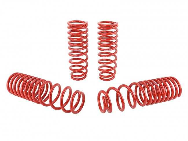 Skunk2 Lowering Springs - 1992-2001 Honda Prelude - 519-05-1660