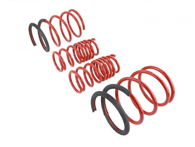 Skunk2 Lowering Springs - 2002-2004 Acura RSX  - 519-05-1670