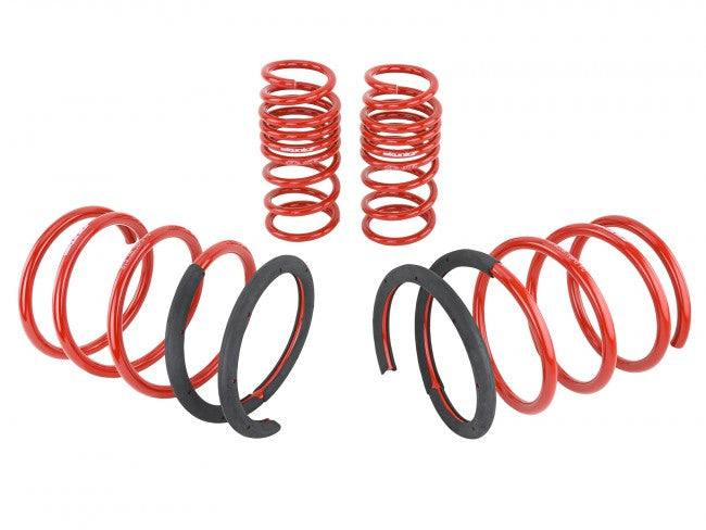 Skunk2 Lowering Springs - 2002-2004 Acura RSX  - 519-05-1670