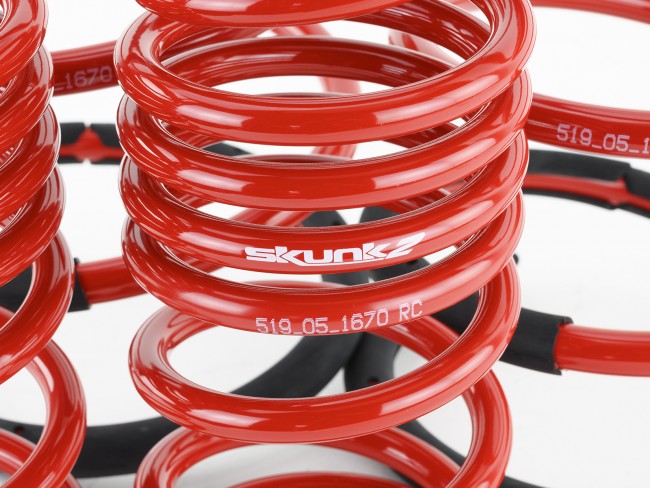 Skunk2 Lowering Springs - 2002-2004 Acura RSX  - 519-05-1670