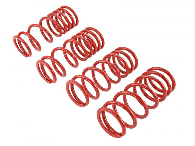 Skunk2 Lowering Springs - 2000-2009 Honda S2000  - 519-05-1680