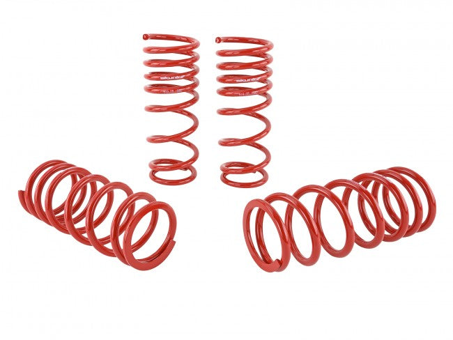 Skunk2 Lowering Springs - 2000-2009 Honda S2000  - 519-05-1680