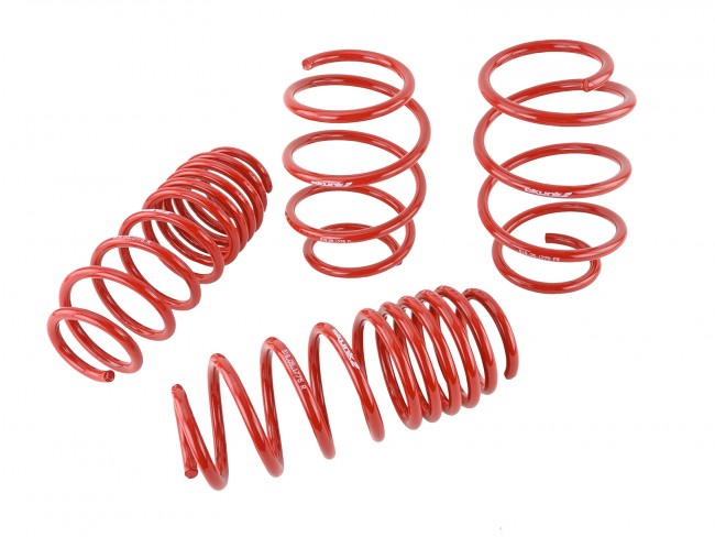 Skunk2 Lowering Springs - 2016-2020 Honda Civic (Exclude Type R) - 519-05-1775