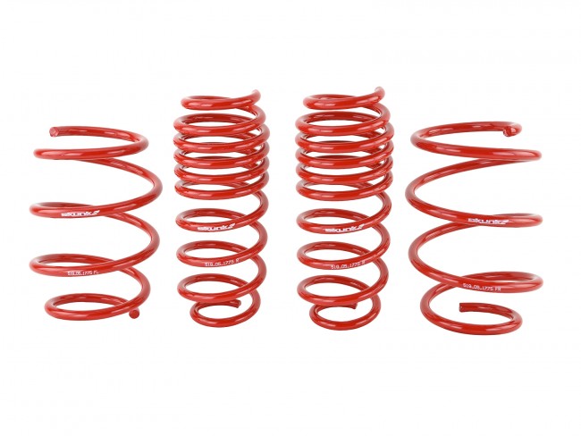 Skunk2 Lowering Springs - 2016-2020 Honda Civic (Exclude Type R) - 519-05-1775