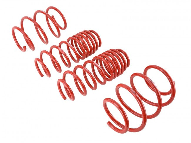 Skunk2 Lowering Springs - 2016-2020 Honda Civic (Exclude Type R) - 519-05-1775