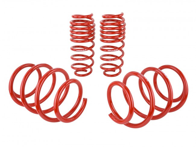 Skunk2 Lowering Springs - 2016-2020 Honda Civic (Exclude Type R) - 519-05-1775