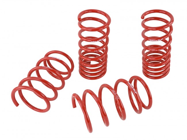 Skunk2 Lowering Springs - 2013-2019 Subaru BRZ  - 519-12-1001