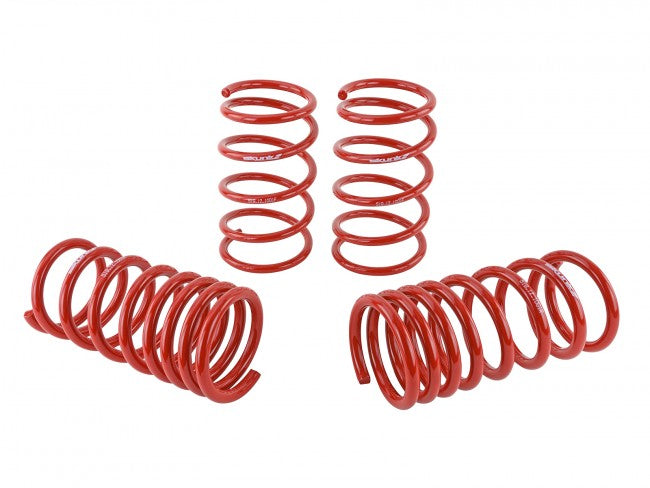 Skunk2 Lowering Springs - 2013-2019 Subaru BRZ  - 519-12-1001