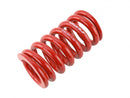 Skunk2 Coilover Race SpringsÂ 18kg/mm x 7.00" - 521-99-1040