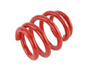 Skunk2 Rear Coilover Race SpringsÂ  14KG - 2006-2011 Honda Civic  - 521-99-1160